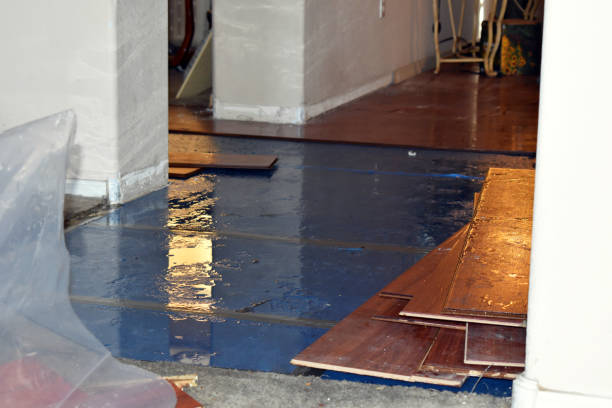 Professional Emergency Water Damage Restoration technician working in Dale, IN